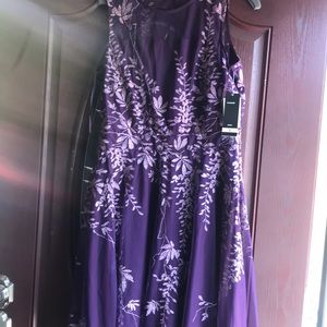 Dress 👗 NWT Women Size 12